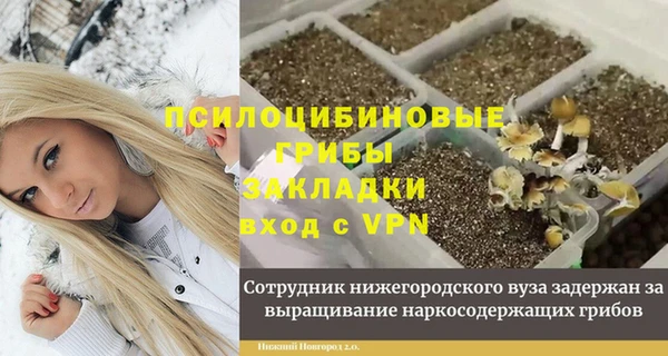 гидра Аркадак