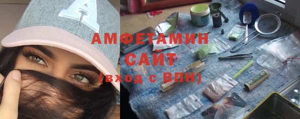 гидра Аркадак