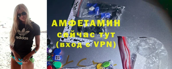 гидра Аркадак